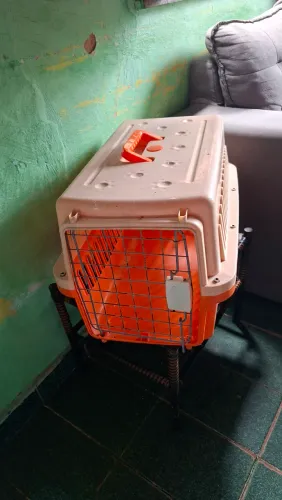 Vendo caixa transporte para gatos e cães 