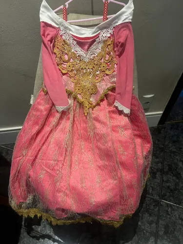 Fantasia Princesa Aurora 