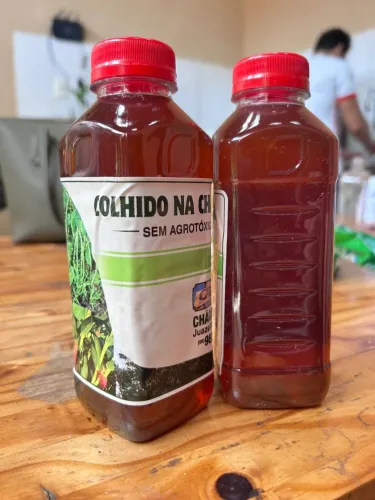Mel Puro de Abelha - 100% Natural e Artesanal