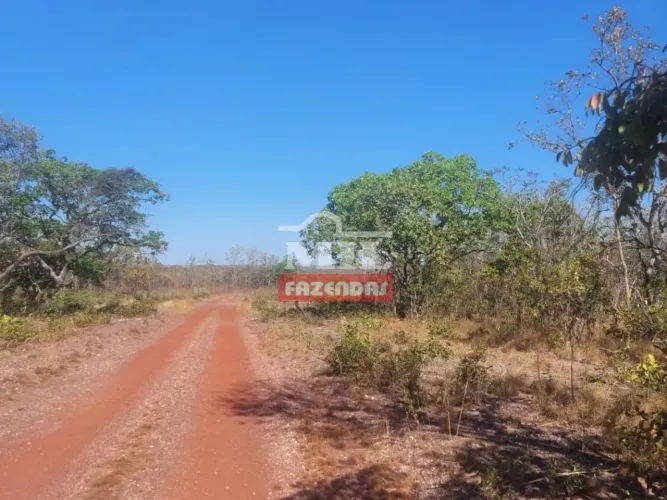 Fazenda 510 Alqueires (2.468 Hectares) Almas - TO