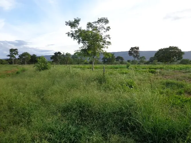 Terreno, Sitio, chacara, 20.000 M2, região de Corinto,MG