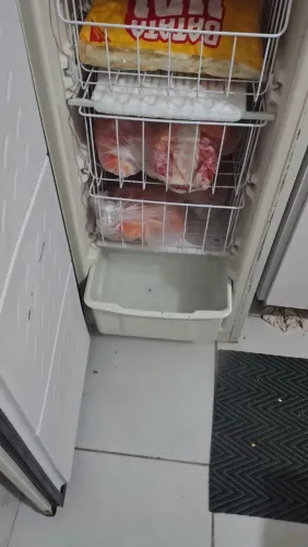 Freezer vertical