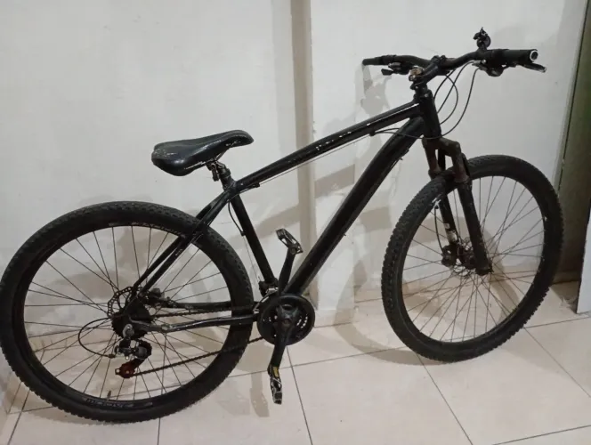 Bike aro 29