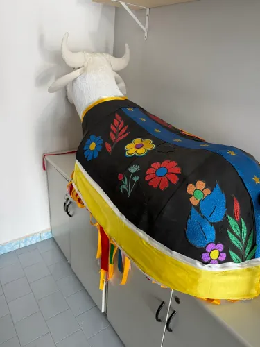 Boi Bumbá para shows 