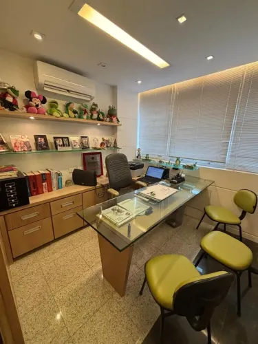 Sala Comercial impecável, absolutamente montada, decorada e planejada. Mariz e Barros pert