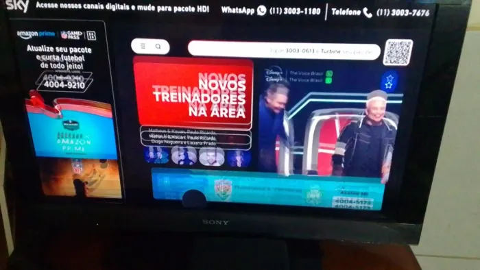 Vende se uma TV Sony 