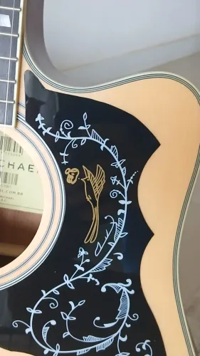 Violão Michael Freebird VMF420ST