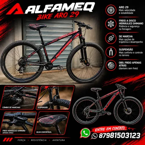 Bike alfameq 29