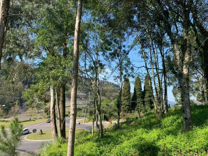 MARAVILHOSA ÁREA COM 5.000 M² NO PLANALTO!