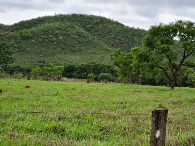 Quer morar no paraiso? venha conhecer este sitio de 6 ha maravilhoso!!!