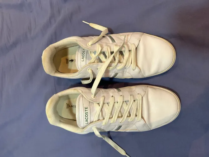 Sapato Lacoste T-Base Masculino tamanho 41 BR