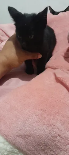 doação