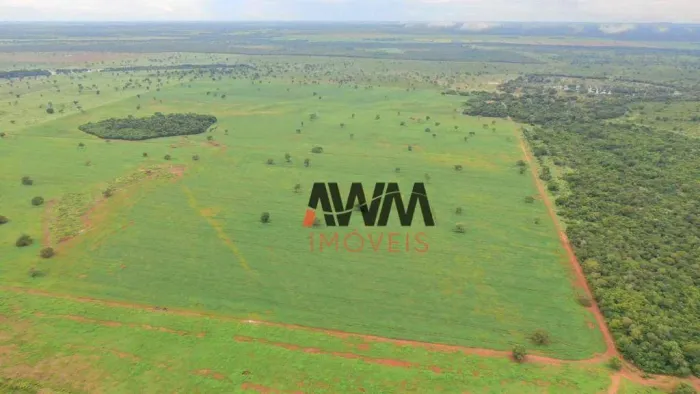 Fazenda à venda, 5227 HA por R$ 150.000.000 - Javaés - Lagoa da Confusão/TO