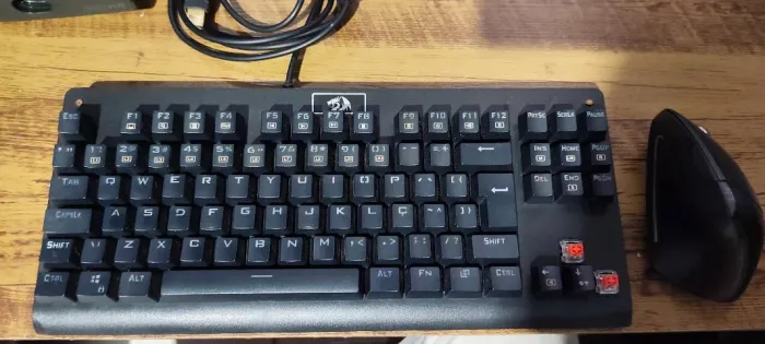teclado mecanico + mouse ergonomico