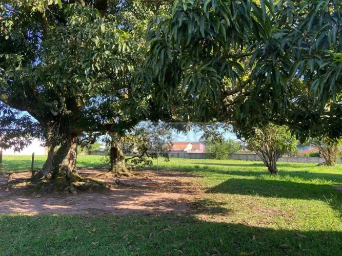 OPORTUNIDADE ÚNICA: TERRENO DE 8.850 M² NO CORAÇÃO DE TORRINHA  100% PLANO!