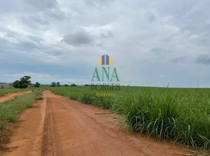 EXCELENTE FAZENDA COM CANA A VENDA EM ARARAQUARA