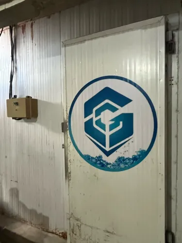 Câmara fria congelamento