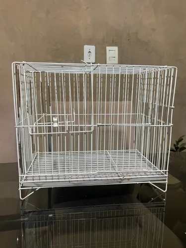 Vendo Gaiola