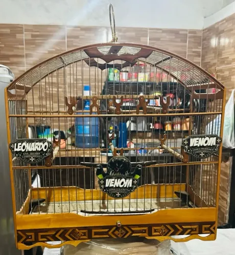 Gaiolas e voadores