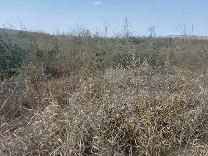 LOTE À VENDA - LOTEAMENTO PRIMAVERA