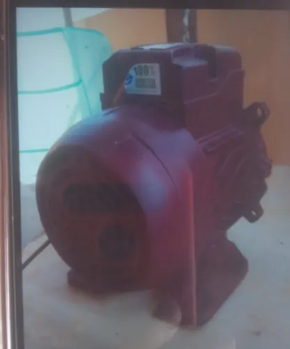 Motores elétricos 