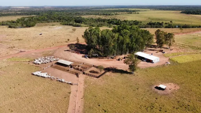 Imóvel para venda com 800000 metros quadrados com 2 quartos em Zona Rural - Goianorte - TO