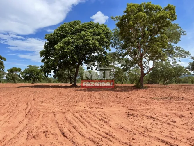 Fazenda 147,3 alqueires ( 713 hectares ) Bom Jardim de Goiás