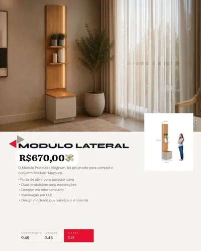 Módulo Lateral