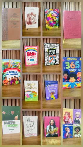 LOTE DE LIVROS E BÍBLIAS EVANGÉLICOS - ABAIXO DO PREÇO DE CUSTO
