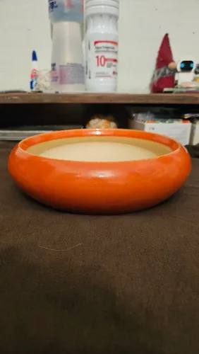 Vaso bonsai onodera redondo laranja