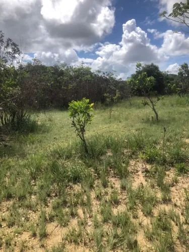 Troco por moto ou vendo nas parcelas