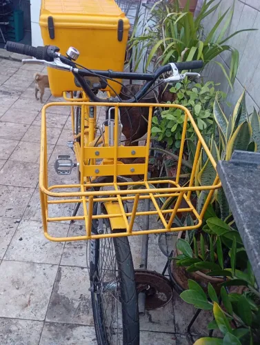 Bicicleta cargueira