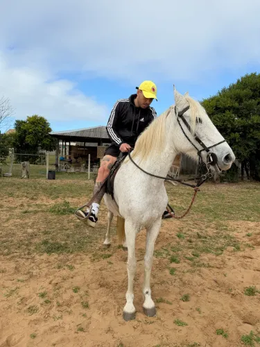 Cavalo mangalarga 
