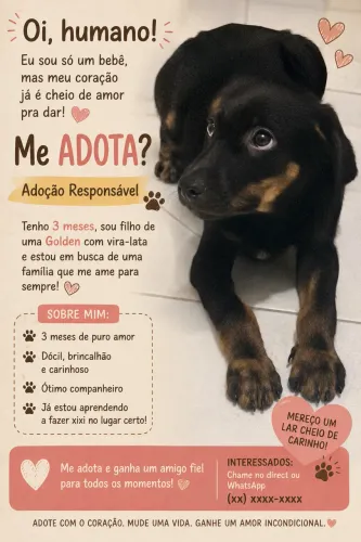 Adoção responsável filhote cachorro