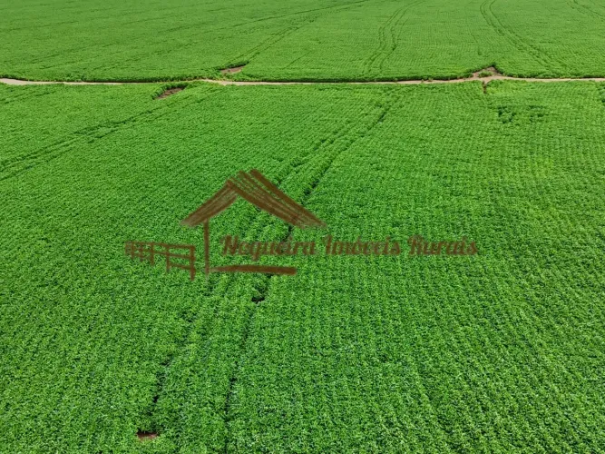 Fazenda com 100 alqueires em Avaré-SP