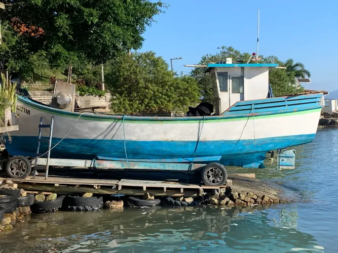 Barco pesca com licença anilhado