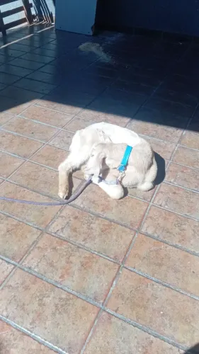 Doa se bode