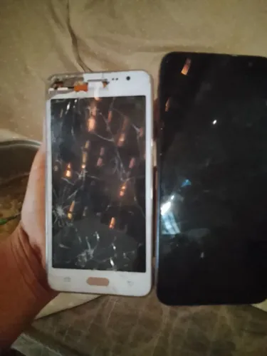 Celular