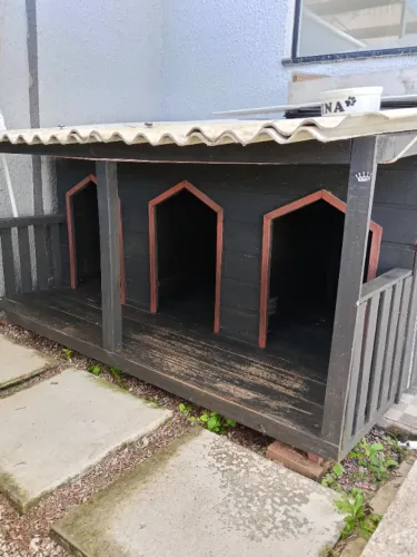 Casinha cachorro