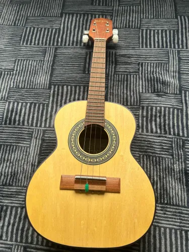 cavaquinho rozini estudante