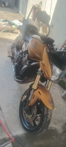 Hornet 600