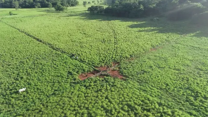 Fazenda Montalvânia | 752 ha | Pecuária + Expansão Agrícola | MG