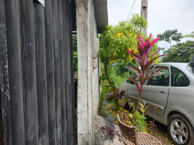 Casa quintal, grande, ilha de Itaparica