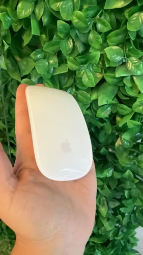 Magic Mouse Apple 