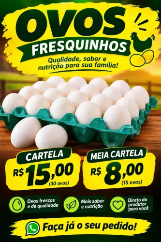 Vendo cartelas de Ovos