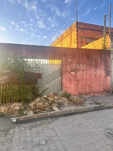 Vendo 