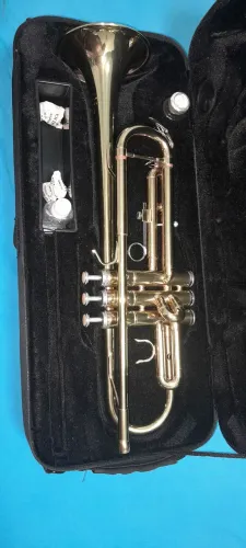Vendo Trompete Michael sib