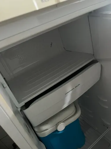 Geladeira electrolux 260l re31