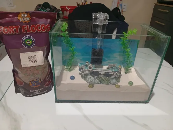 Aquário 7Litros, completo.