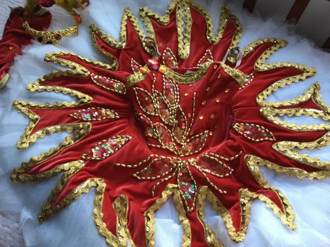 Vestido de bailarina - Fantasia de princesa - Verde e dourado